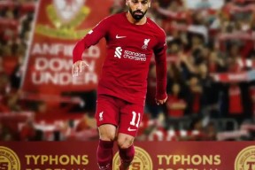 瑞士队前途光明！，萨拉赫新星重返赛场表现突出引发球迷热议的简单介绍-九游体育APP